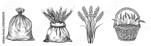 wheat set fields with harvest 