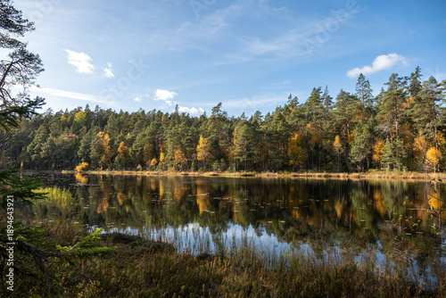 Norra Kvill national park in Sweden