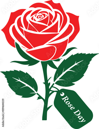 red rose isolated on white Rose Day