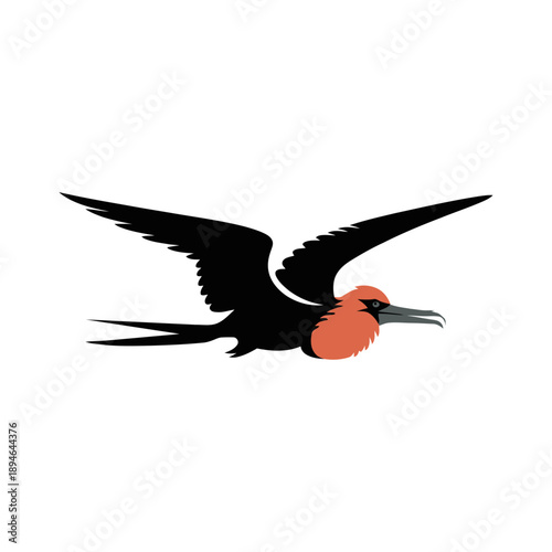 Flying frigate bird logo