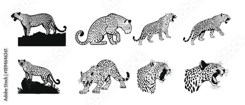 sitting leopard silhouette leopard illustration set in