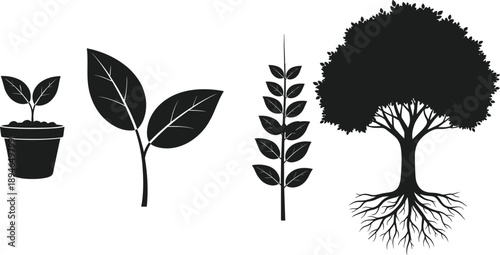 Black Silhouette Collection Representing the Life Cycle of a Plant From a Potted Seedling to Growing Leaves and a Mature Tree with Roots