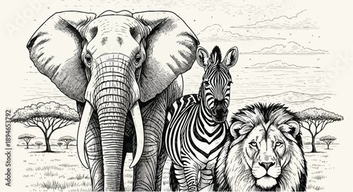 Elephant lion and zebra savanna wildlife sketch