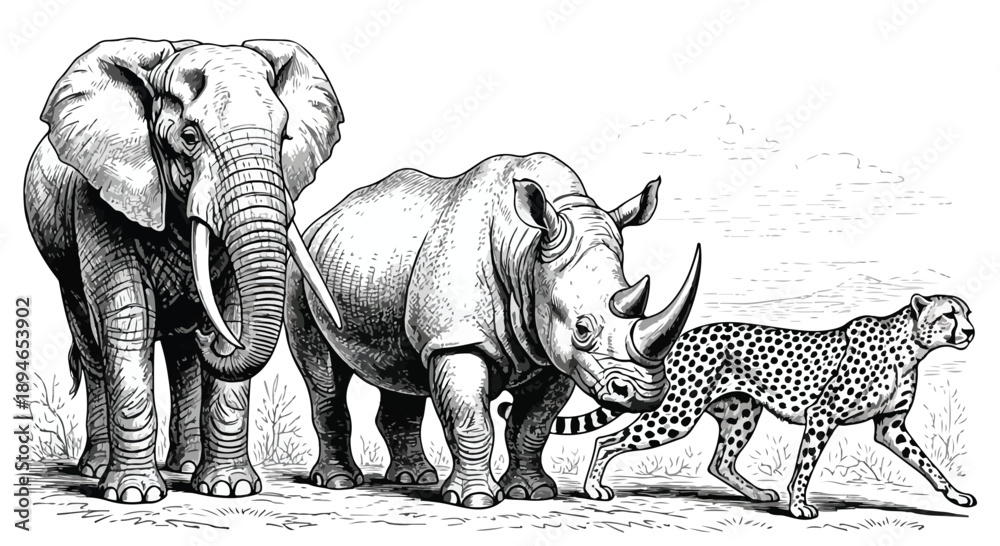 Fototapeta premium Elephant rhinoceros and cheetah savanna wildlife sketch