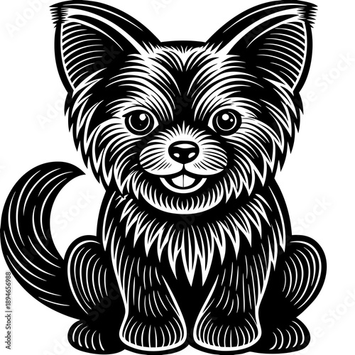 Black and white yorkie puppy sitting
