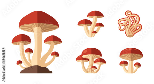 A vibrant collection of flat design mushroom illustrations, showcasing various red-capped fungi and edible varieties, perfect for nature-themed projects.