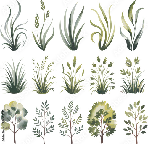 Assortment of watercolor of various green grasses, reeds, and small trees in different shades plants