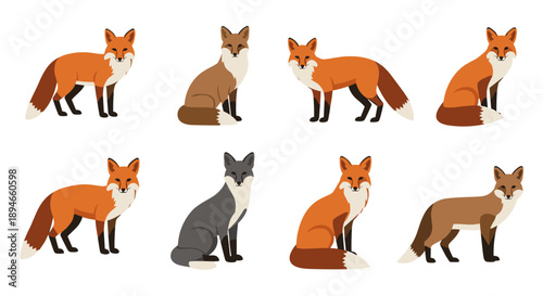 A charming collection of stylized red and grey foxes, depicted in various sitting and standing poses, perfect for nature-themed designs and educational materials.
