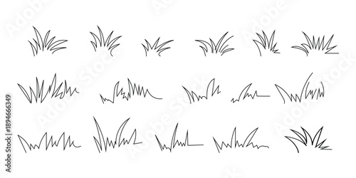 Grass linear icon, meadow and flower doodle outline design, bush tuft, small lawn, green sketch plant isolated on white background. Thicket hand drawn border. Floral scribble set. Vector illustration 