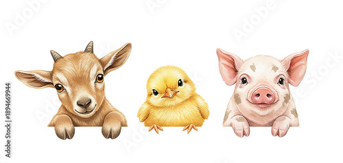 Cute happy baby goat chick and piglet animals peeking over a white border watercolor illustration