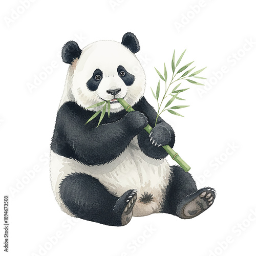 Happy Panda Eating Bamboo Stalk Sitting Down with Content Expression Watercolor Illustration