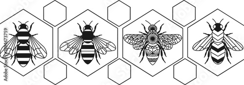 Detailed honeybee illustrations inside geometric honeycomb hexagons featuring various bee species and patterns for nature conservation and organic honey branding.
