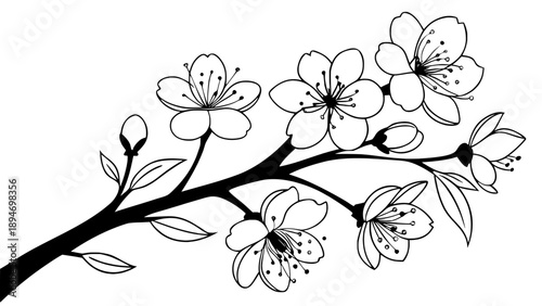 Black and White Floral Branch Line Art Vector Illustration