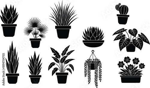 Large set of black silhouette house plants and potted succulents featuring various leaf shapes and hanging planters for modern interior design and botanical graphics
