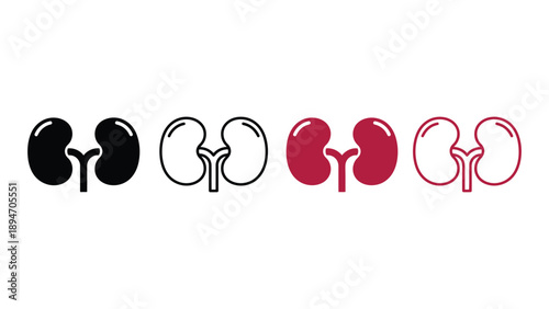 A medical illustration of kidneys in various colors and styles