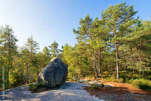  Poire des Druides rock in the Franchard gorges. Fontainebleau forest