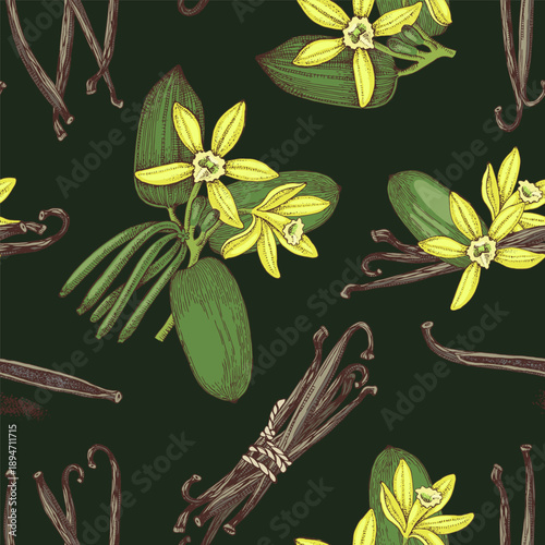 Vanilla hand drawn seamless pattern