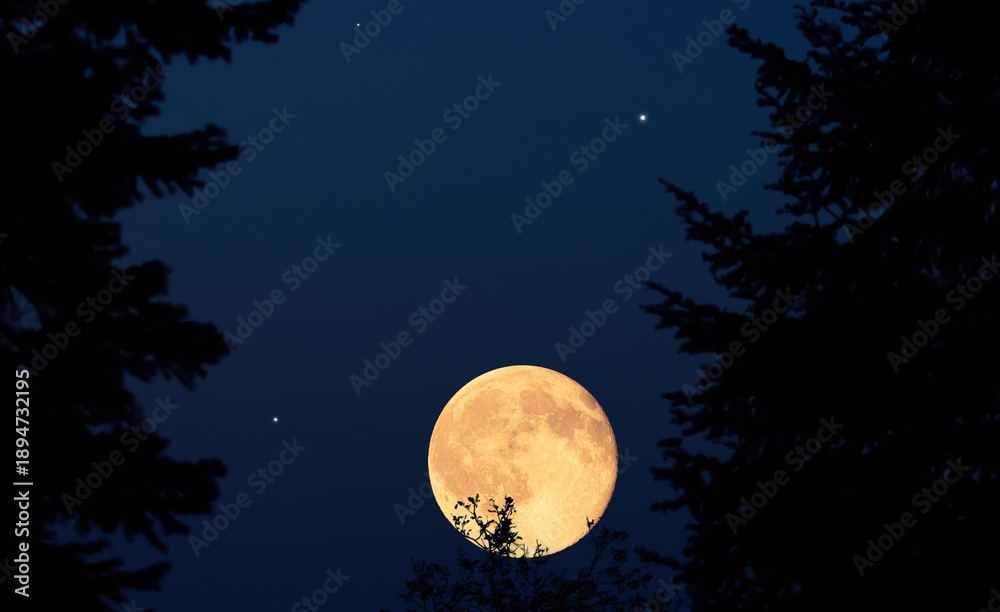 Fototapeta premium Full Moon, stars, planets and rural landscape scenery silhouettes.