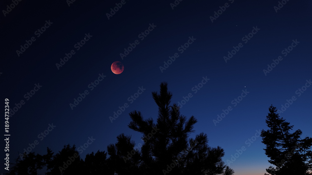 Fototapeta premium Blue hour time with lunar eclipse, stars and planets above landscape silhouettes.