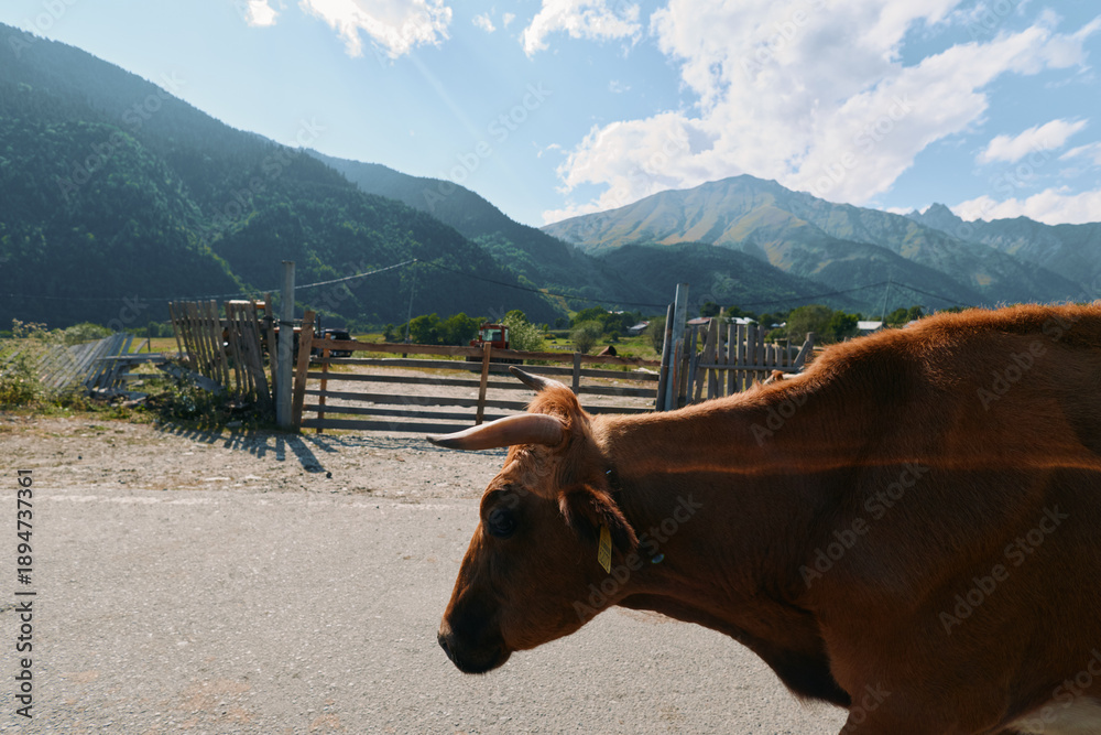Obraz premium A brown horse stands by a rural road with wooden fences, framed by distant mountains and a bright blue sky. The calm, open landscape conveys a peaceful countryside atmosphere and gentle equine