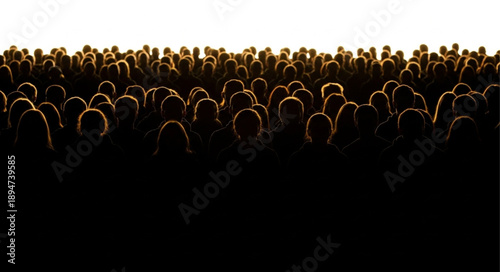 Large Crowd Silhouetted Against Bright Sky.