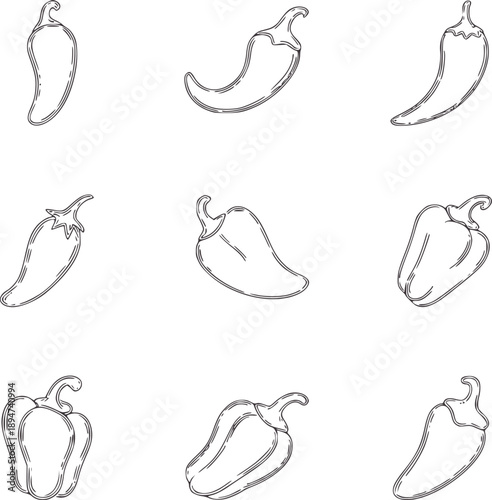 Minimalist line of various chili peppers and bell peppers food