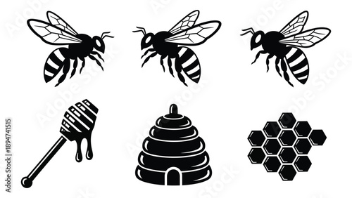 Illustrations of bees and honeycomb Vector