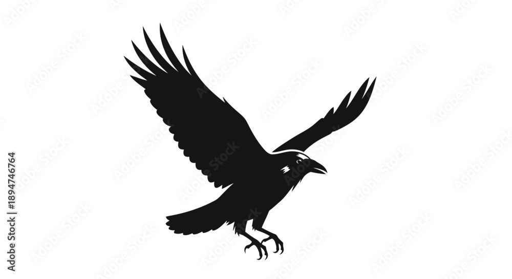 Fototapeta premium Black silhouette of a raven in flight against a white background.