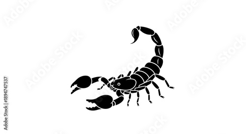 Black silhouette of a scorpion against a clean white background.