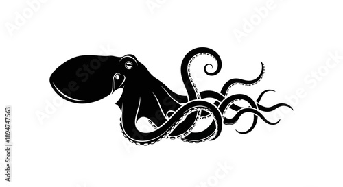 Black squid illustration with curled tentacles on a white background