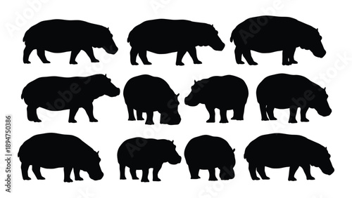 Collection of hippopotamus silhouettes Vector