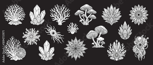 Set of Hand-drawn Decorative Plants, Mushrooms, and Crystals, Vector Illustration Isolated on Dark Background