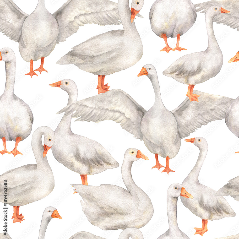 Obraz premium Seamless pattern of geese