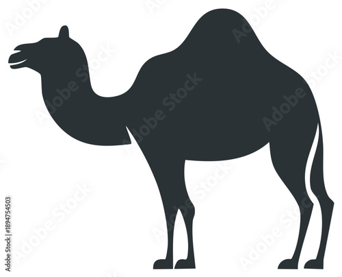 Simple graphic silhouette of a standing dromedary camel vector illustration
