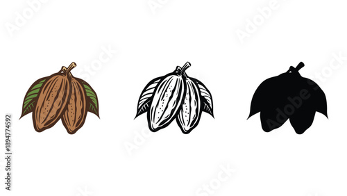 Three cocoa pods are shown in different artistic styles.