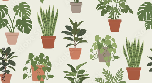 Collection of various potted houseplants arranged in a pattern.