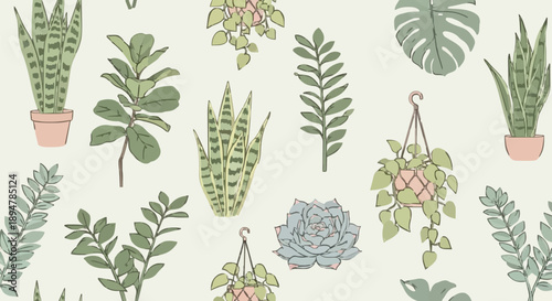 Collection of Various Potted Houseplants in a Repeating Pattern.