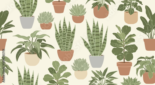 Collection of various potted houseplants in a repeating pattern.