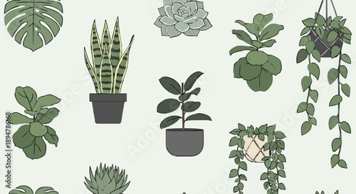 Collection of various potted houseplants in a simple illustration style.