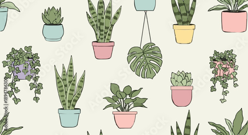 Collection of various potted houseplants in colorful pots.