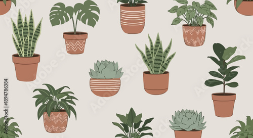 Collection of various potted houseplants in decorative pots.