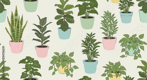 Collection of various potted houseplants in colorful pots.