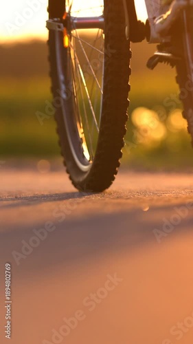 Dynamic Bicycle Riding: From Spinning Wheel to Full Scale View