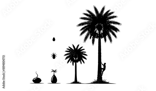 SEO Title
Hand Drawn Date Palm Fruit Vector with Whole and Half Dates Isolated on White Background