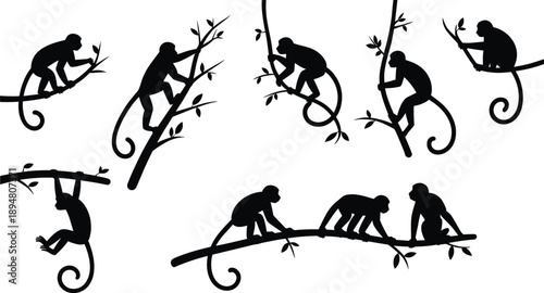 Monkey silhouette set showing climbing, sitting, and hanging poses on tree branches, playful primates isolated in black vector illustration for wildlife and jungle design.