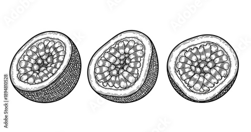 Intricate black and white illustrations of passion fruit halves in detailed cross-section