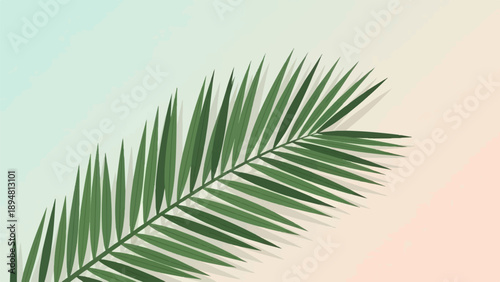 A single green palm frond casts a shadow across a softly colored background