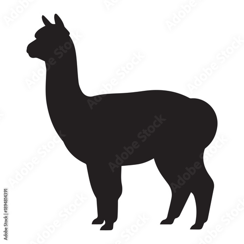 Alpaca Silhouette Illustration – Cute Camelid Vector Graphic