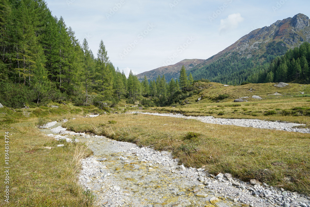 Fototapeta premium Scenic Hiking Trail Across Ursprungalm with Alpine Meadows and Mountain Views