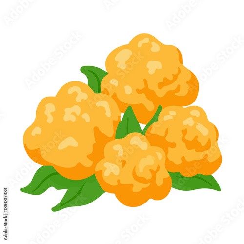 Cauliflower Wings, modern 2D flat vector illustration in icon style, isolated on pure white background.